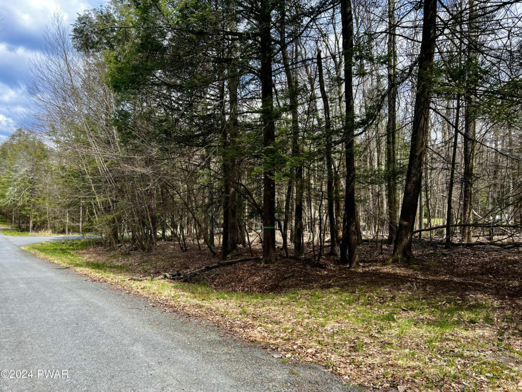 LOT 826 FAWN RD AND LOT 824 PINE CREEK ROAD, HAWLEY, PA 18428, photo 1 of 23
