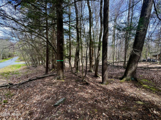 LOT 826 FAWN RD AND LOT 824 PINE CREEK ROAD, HAWLEY, PA 18428, photo 4 of 23