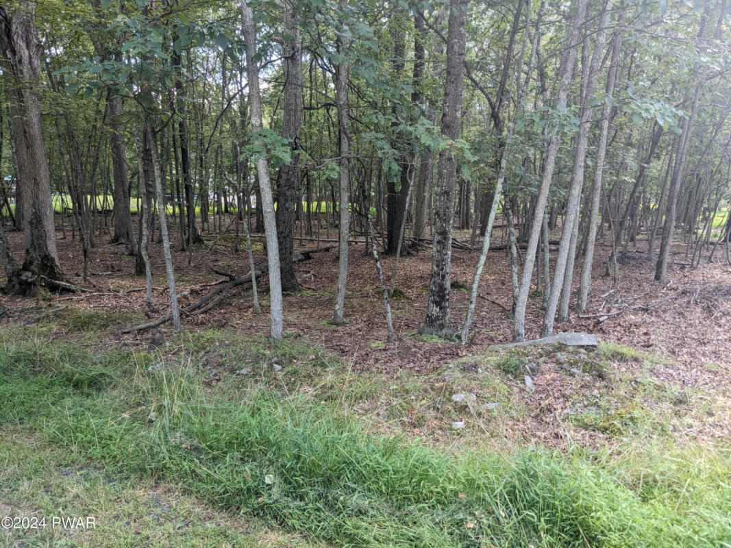 LOT 1 HIGH RIDGE RD, DINGMANS FERRY, PA 18328, photo 1 of 4