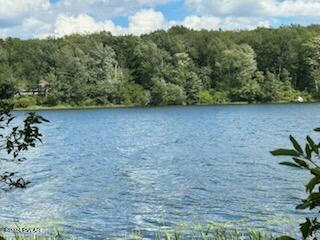 LOT R-C3 SPRUCE LAKE ROAD, THOMPSON, PA 18465 - Image 1