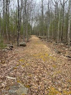 LOT 15 STATE ROUTE 97, NARROWSBURG, NY 12764 - Image 1