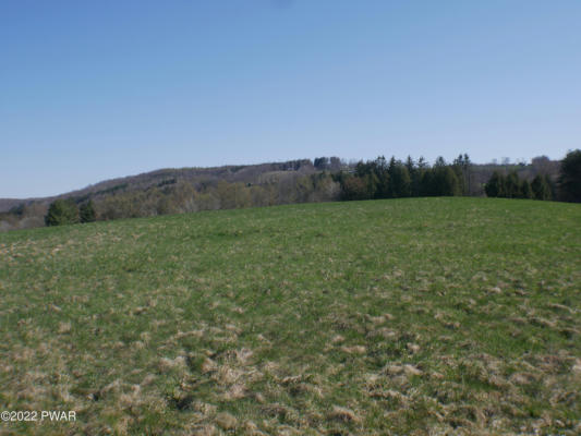 BELL MOUNTAIN ROAD, CLIFFORD TWP, PA 18407 - Image 1